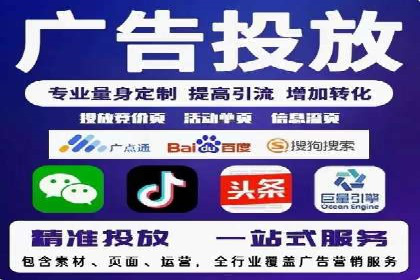 SEM推广策略：成功案例解析